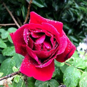 Meet your Posher, Beth.